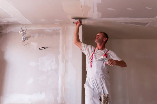 Professional Dry wall and painting in New Sarpy, LA